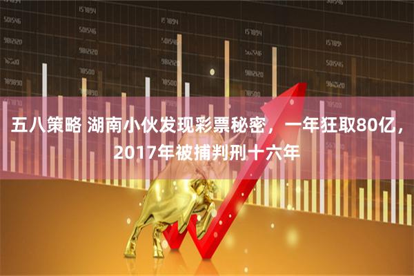 五八策略 湖南小伙发现彩票秘密，一年狂取80亿，2017年被捕判刑十六年